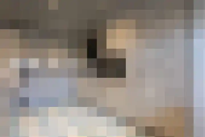 Kwekerssingel 10 Oudenbosch thumbnail 17