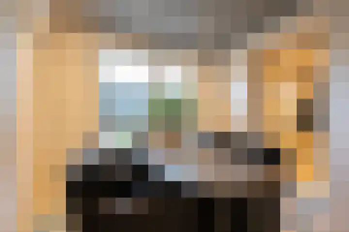 Kwekerssingel 10 Oudenbosch thumbnail 20