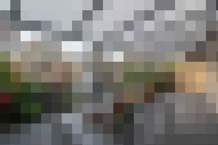 Kwekerssingel 10 Oudenbosch thumbnail 24