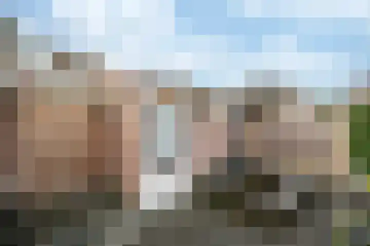 Kwekerssingel 10 Oudenbosch thumbnail 27