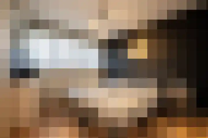 Kwekerssingel 10 Oudenbosch thumbnail 32