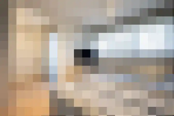 Kwekerssingel 10 Oudenbosch thumbnail 33