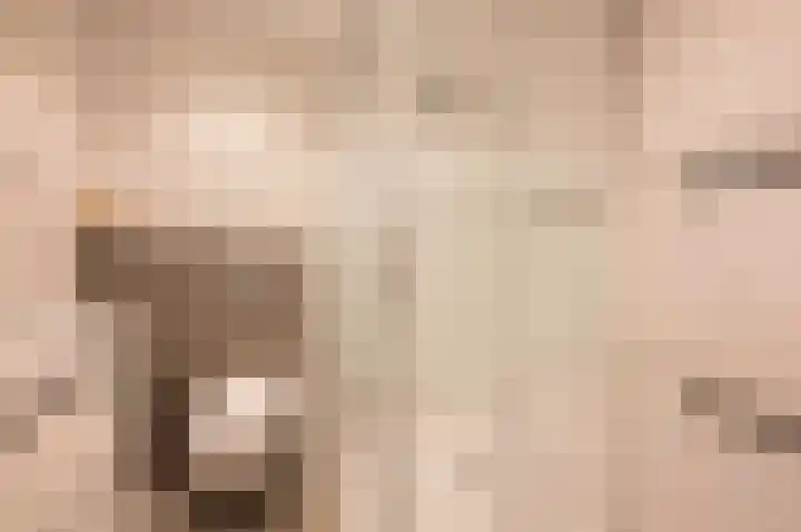 Kwekerssingel 10 Oudenbosch thumbnail 37