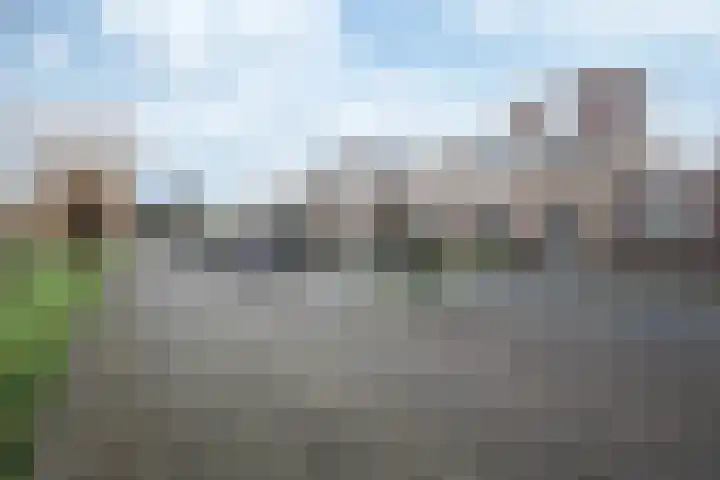 Kwekerssingel 10 Oudenbosch thumbnail 4