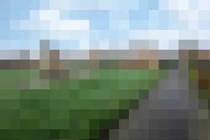Kwekerssingel 10 Oudenbosch thumbnail 5