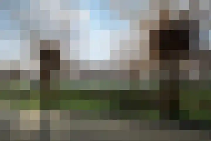 Kwekerssingel 10 Oudenbosch thumbnail 6