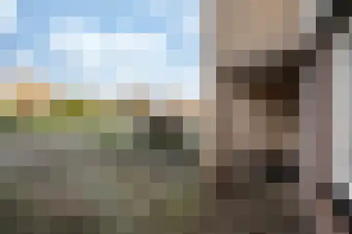 Kwekerssingel 10 Oudenbosch thumbnail 7