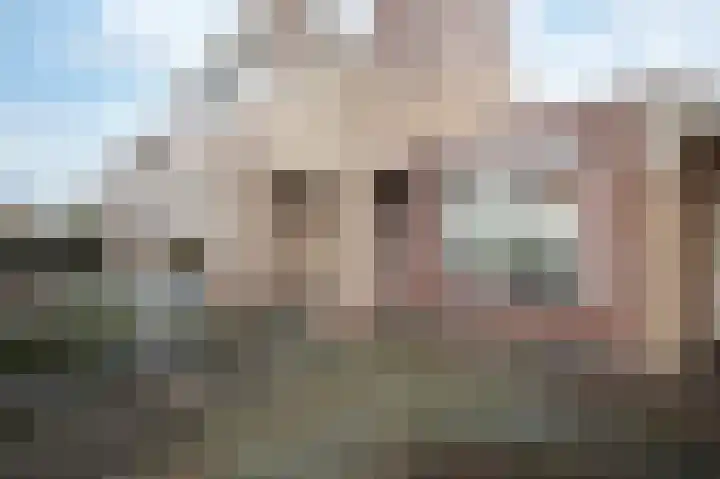 Kwekerssingel 10 Oudenbosch thumbnail 8