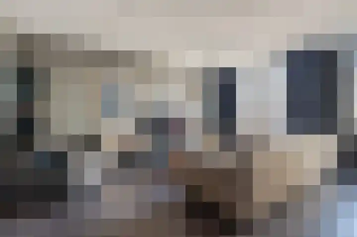 Kwekersstraat 44 Rijnsburg thumbnail 7