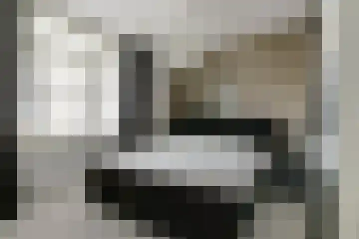 Kwekersstraat 46 Rijnsburg thumbnail 4