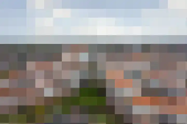 Kwekersstraat 46 Rijnsburg thumbnail 45