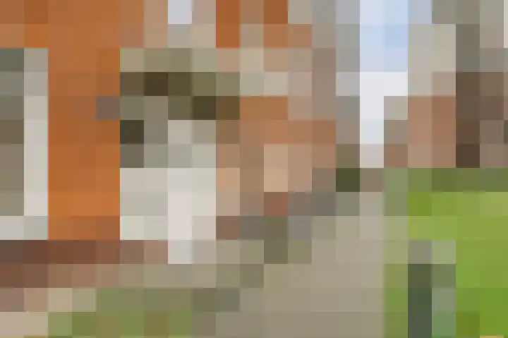 Kwekersstraat 54 Rijnsburg thumbnail 5