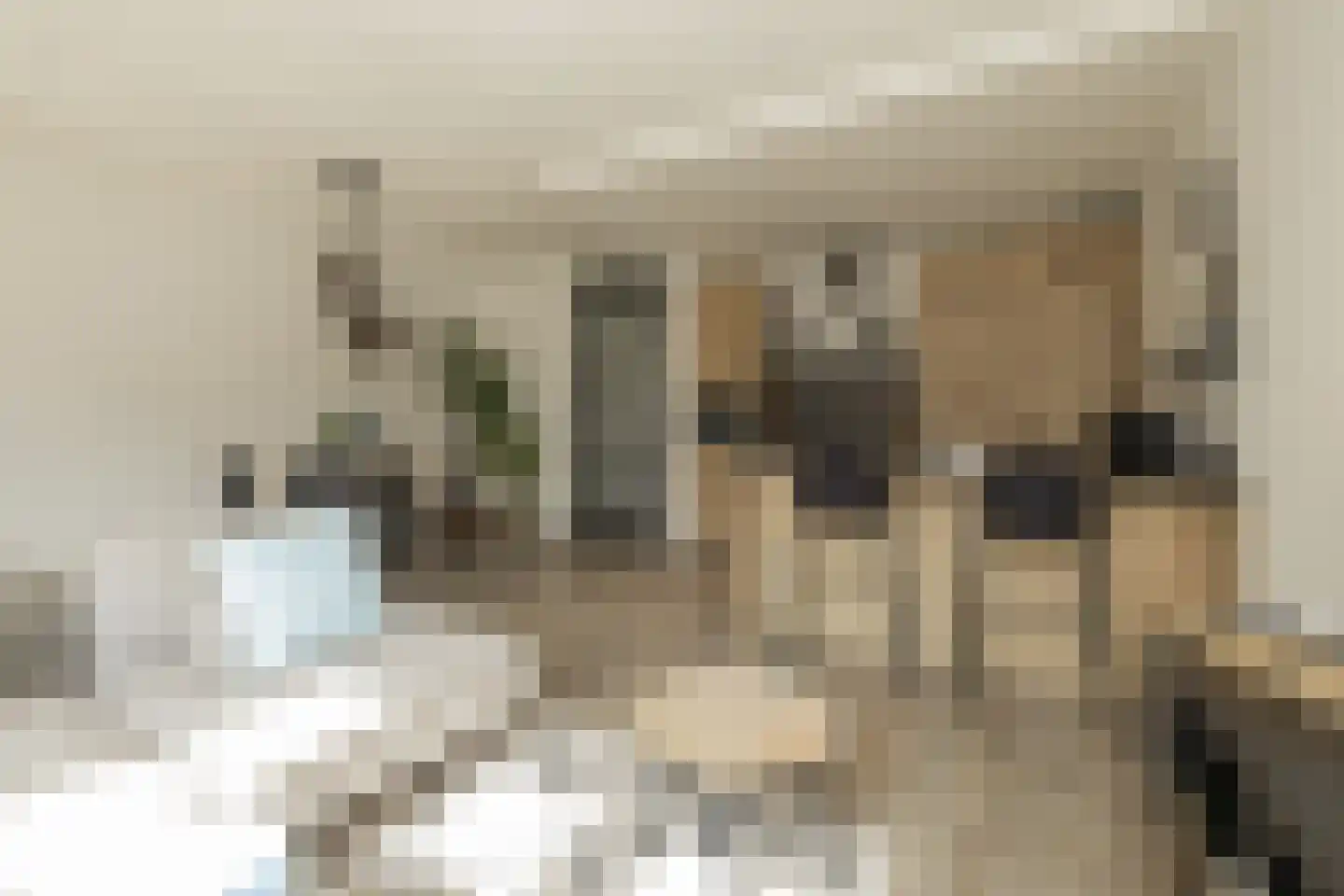 Kwekersstraat 70 Rijnsburg thumbnail 18