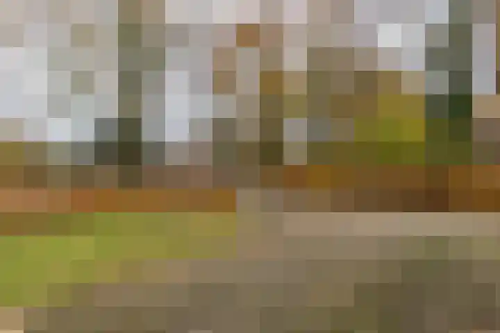 Kwekersstrjitte 1 Burgum thumbnail 13