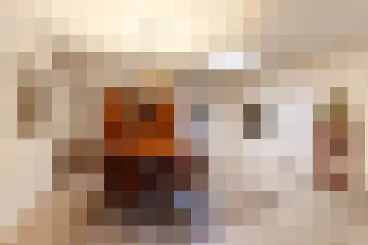 Kwekersstrjitte 1 Burgum thumbnail 25