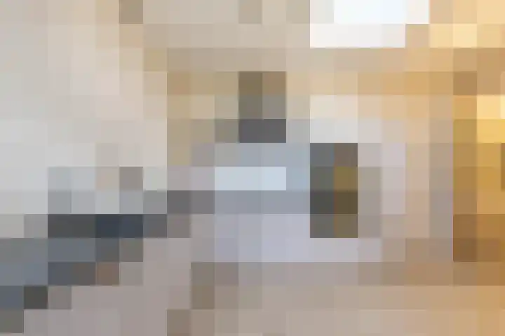 Kwekersstrjitte 1 Burgum thumbnail 30