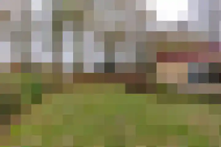 Kwekersstrjitte 1 Burgum thumbnail 43