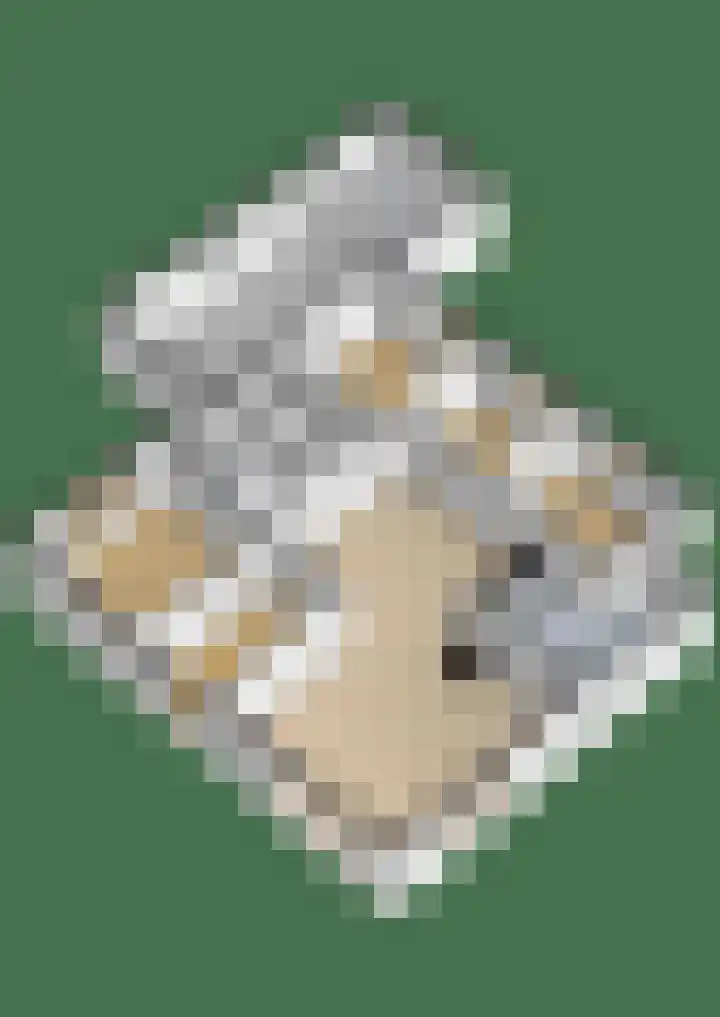 Kwekersstrjitte 1 Burgum thumbnail 46
