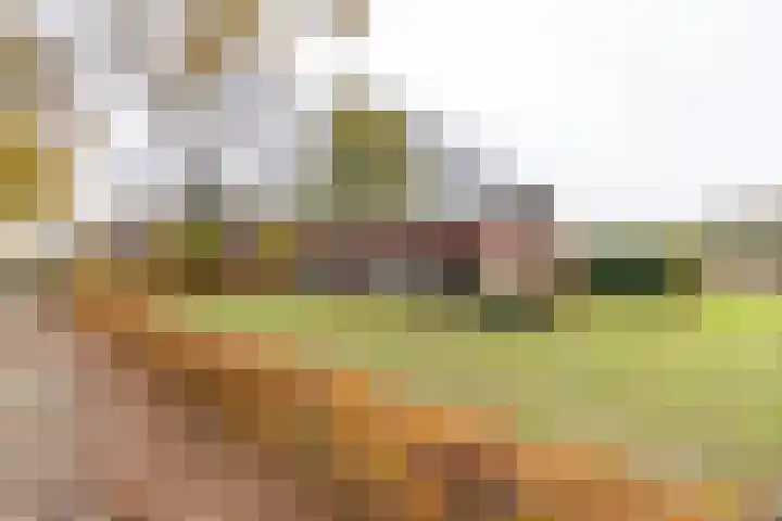 Kwekersstrjitte 1 Burgum thumbnail 8