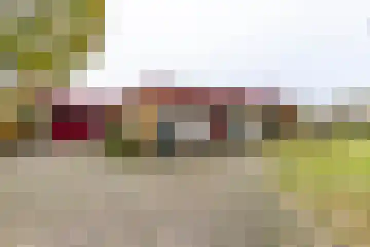 Kwekersstrjitte 1 Burgum thumbnail 9
