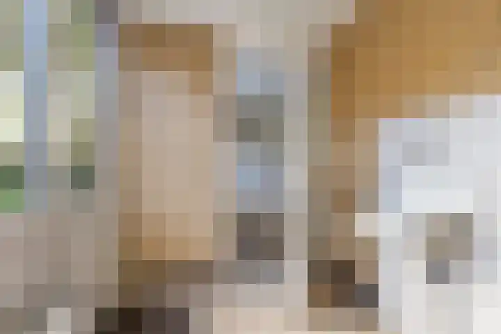 Kwekersstrjitte 3 Burgum thumbnail 19
