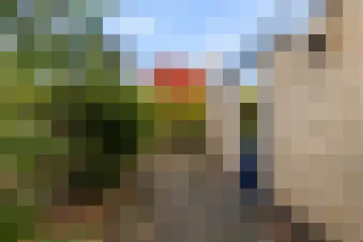 Kwekersstrjitte 3 Burgum thumbnail 20