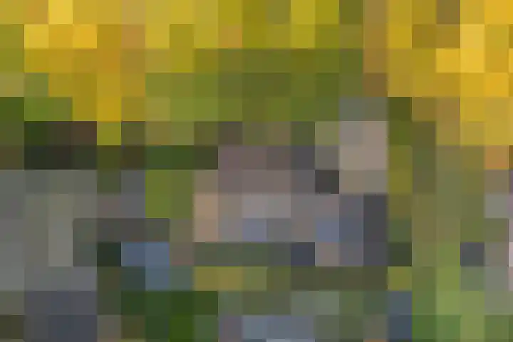 Kwekersstrjitte 3 Burgum thumbnail 49