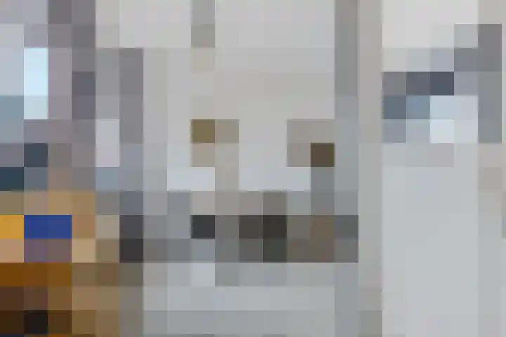Kwekersweg 33 Uithuizermeeden thumbnail 21