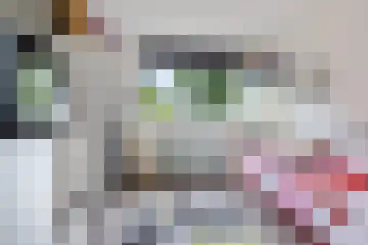 Kwekersweg 33 Uithuizermeeden thumbnail 28