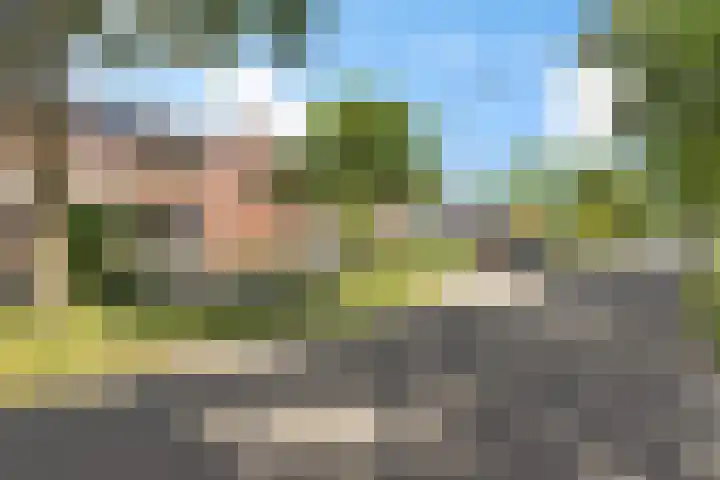 Kwekersweg 33 Uithuizermeeden thumbnail 8