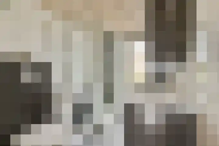 Kwekersweg 4 Sassenheim thumbnail 15
