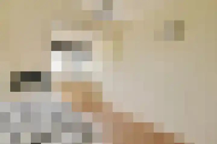 Kwekersweg 4 Sassenheim thumbnail 19