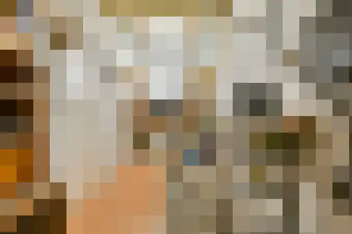 Kwekersweg 4 Sassenheim thumbnail 22