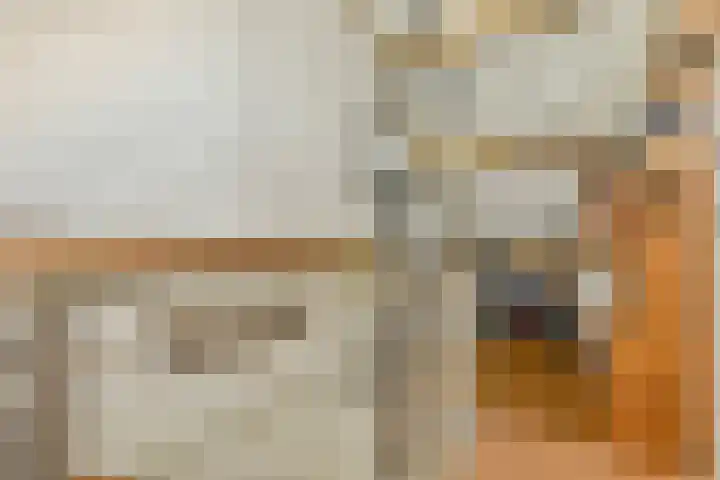 Kwekersweg 4 Sassenheim thumbnail 23