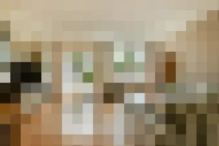 Kwekersweg 4 Sassenheim thumbnail 4