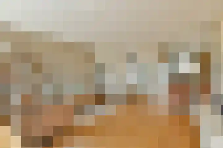 Kwekersweg 4 Sassenheim thumbnail 5