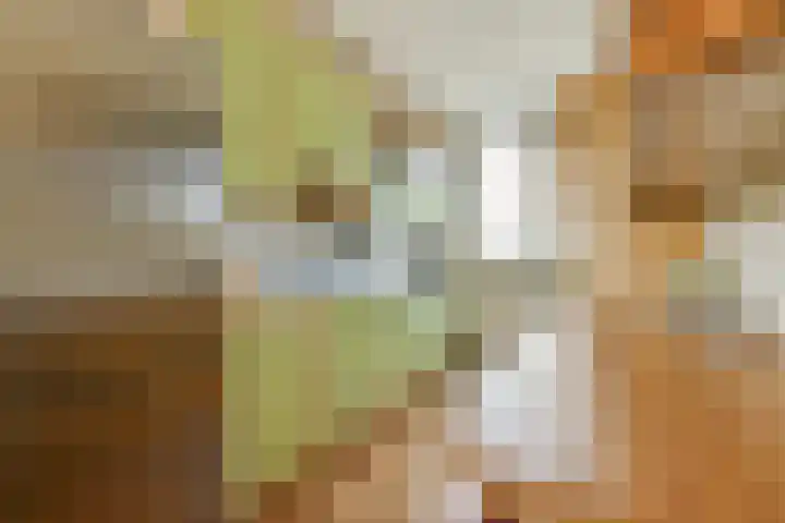 Kwekersweg 4 Sassenheim thumbnail 7
