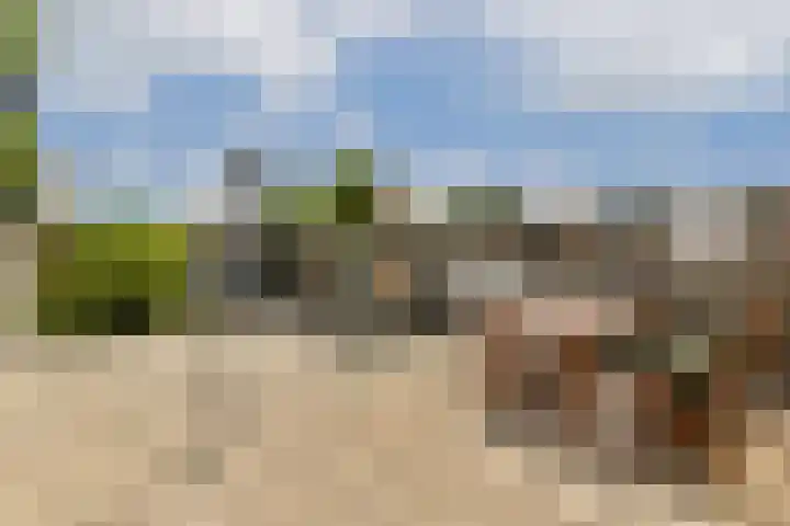 Kwekersweg 4 Sassenheim thumbnail 9