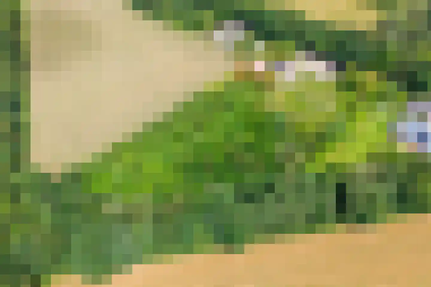 Kwekersweg 8 a Haps thumbnail 4