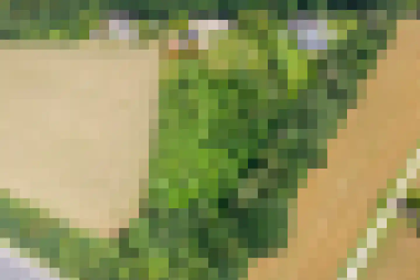 Kwekersweg 8 a Haps thumbnail 5