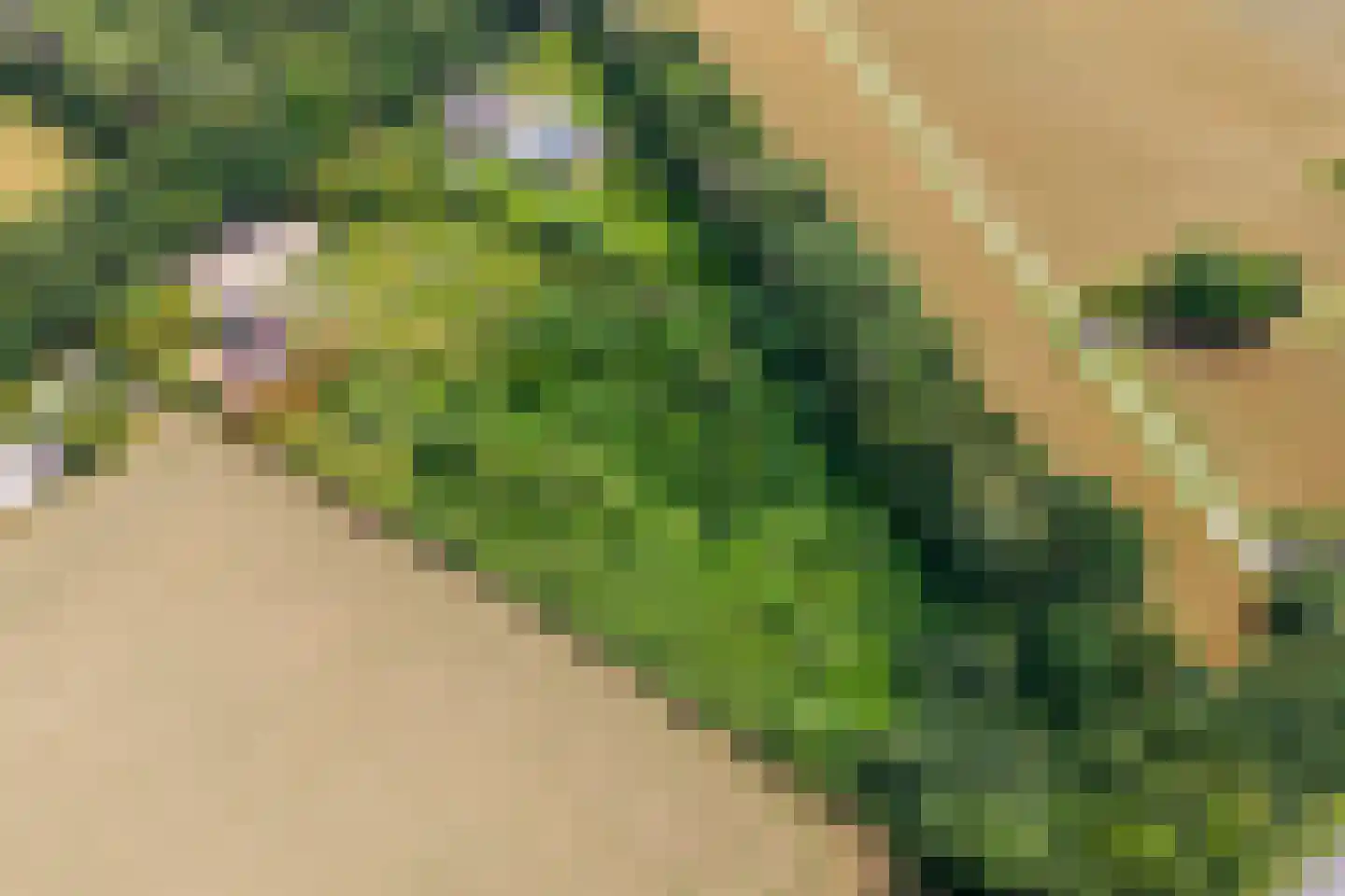 Kwekersweg 8 a Haps thumbnail 6