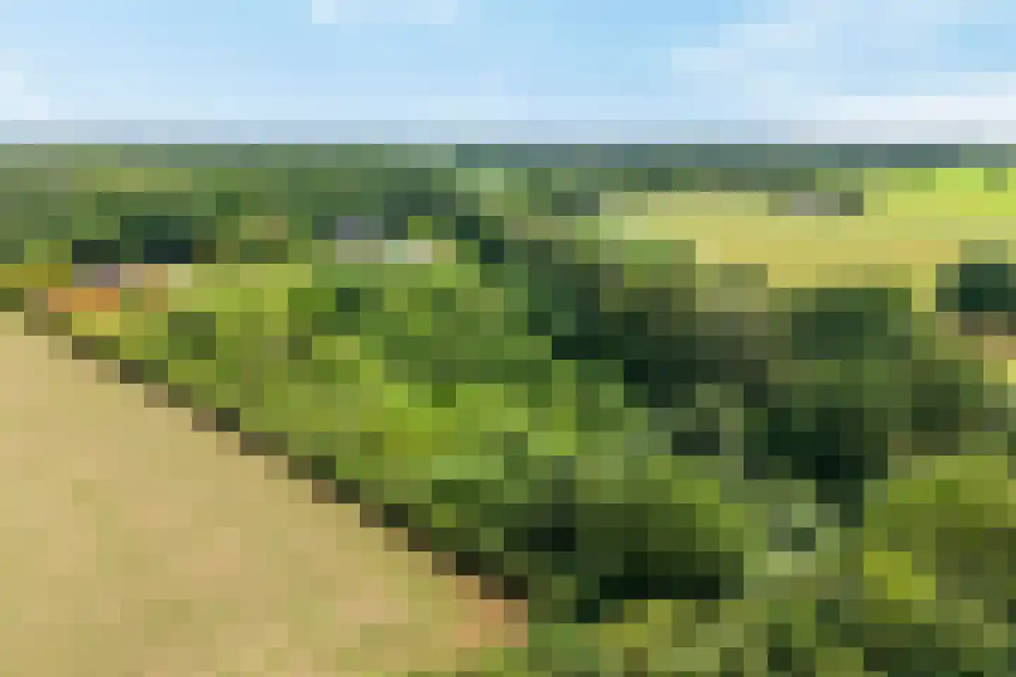 Kwekersweg 8 a Haps thumbnail 8