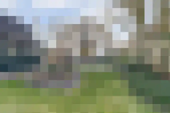 Kweldam 14 Everdingen thumbnail 32