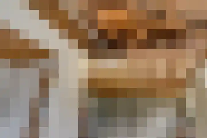 Kweldam 14 Everdingen thumbnail 46