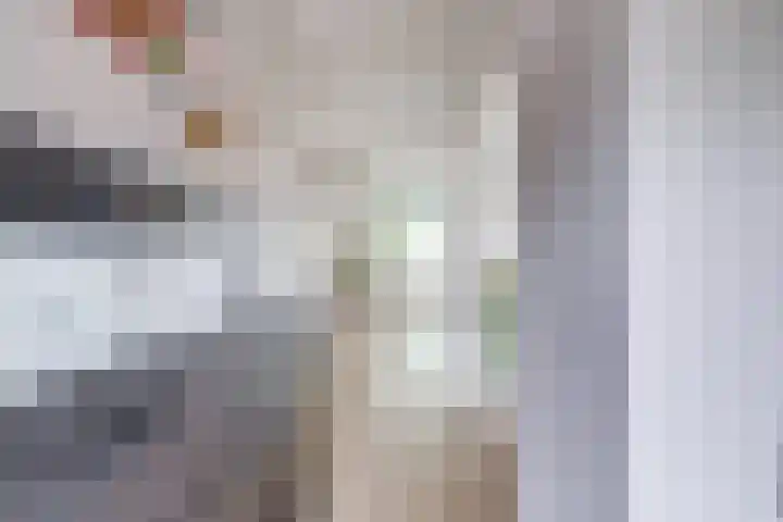 Kweldam 14 Everdingen thumbnail 59