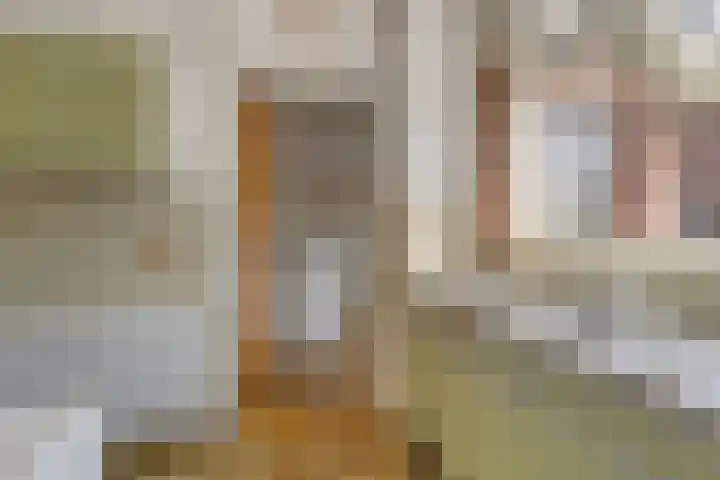 Kweldam 14 Everdingen thumbnail 8