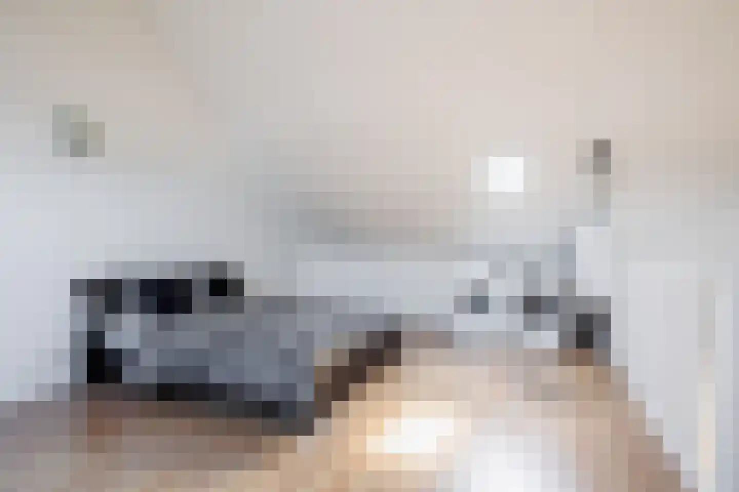 Kweldam 15 Oosterhout thumbnail 23
