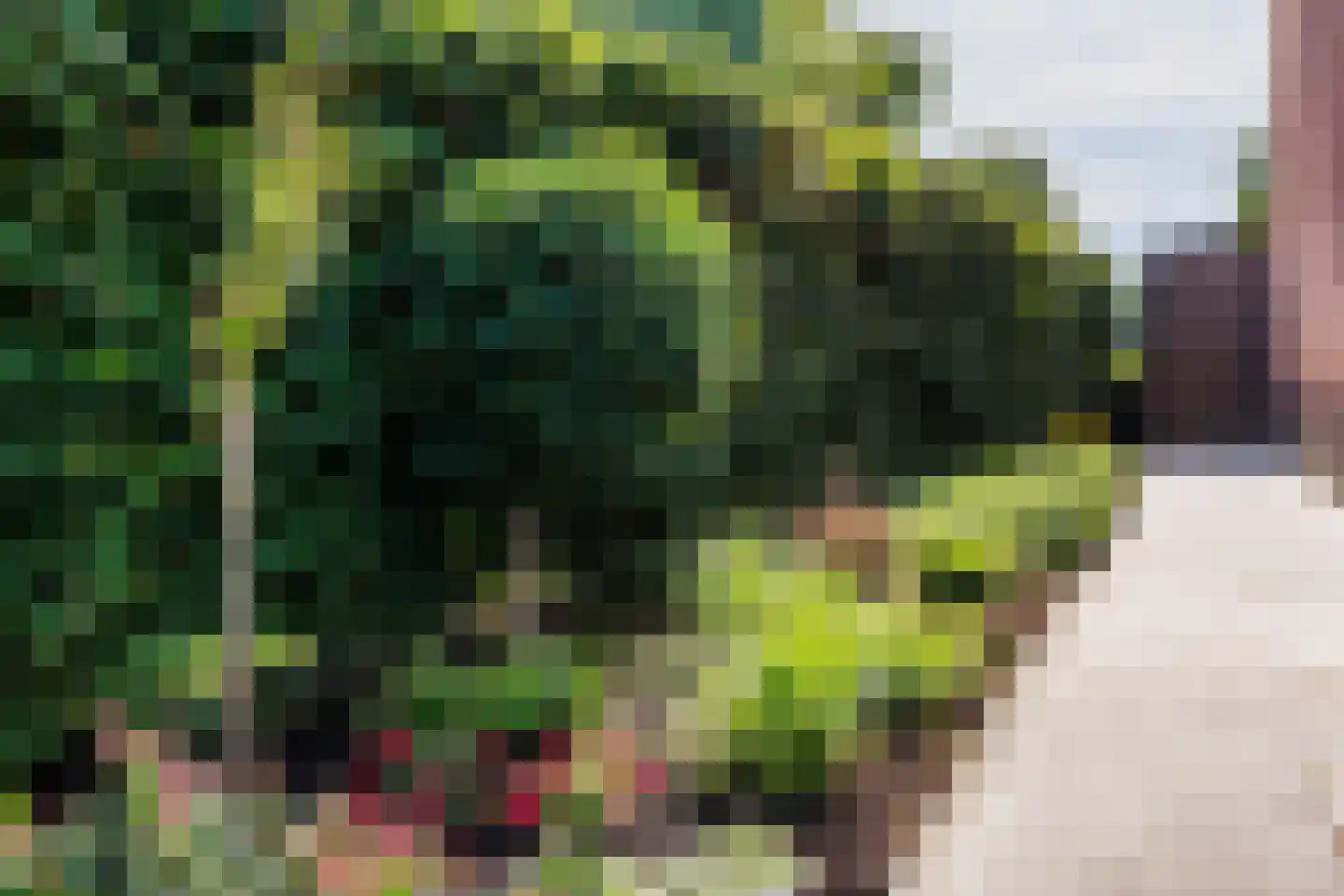 Kweldam 15 Oosterhout thumbnail 29