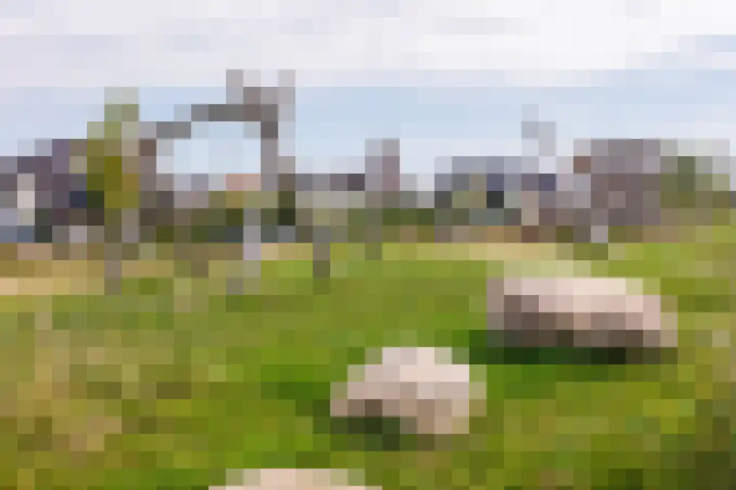 Kweldam 15 Oosterhout thumbnail 31