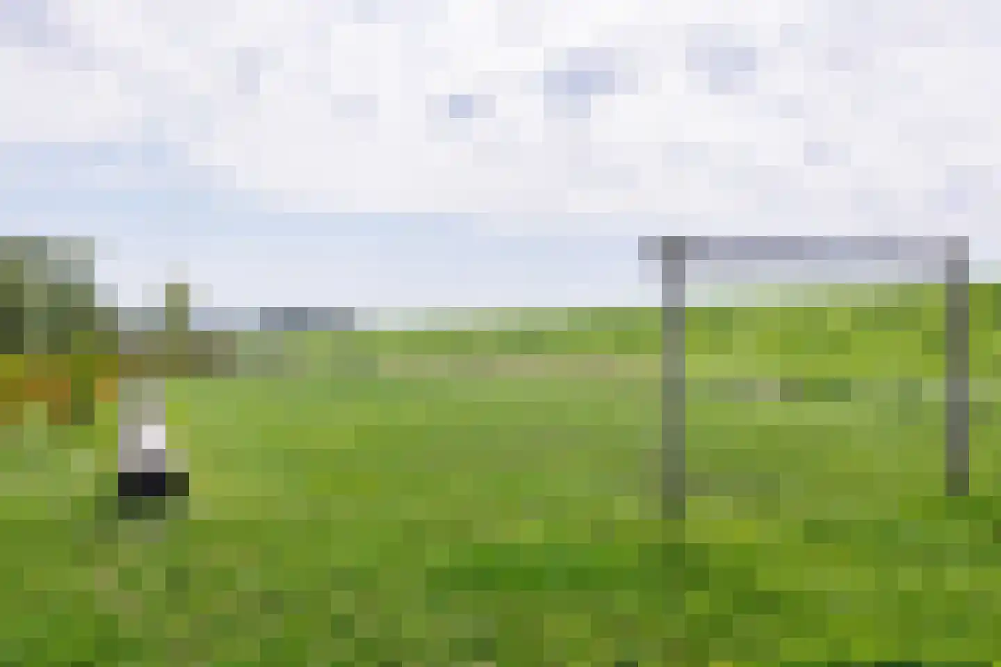 Kweldam 15 Oosterhout thumbnail 32